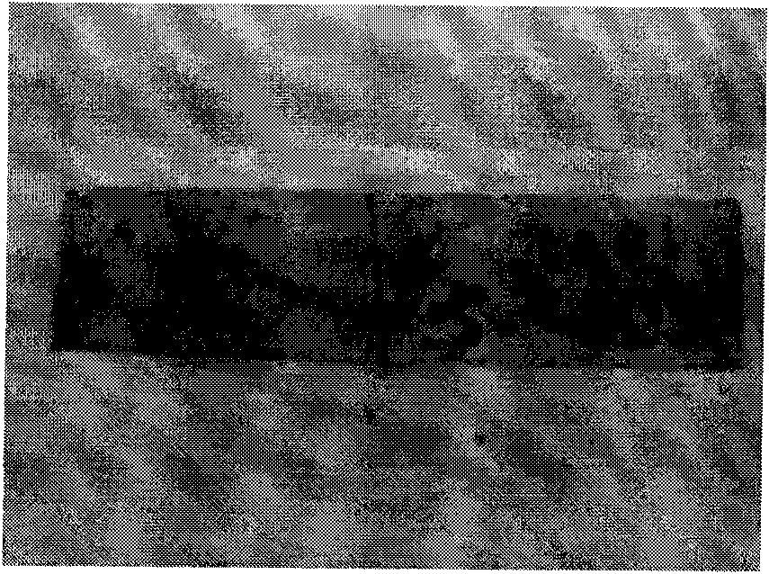 High-strength composite material for caulking, repair and water prevention of concrete/inorganic plate and preparation method thereof