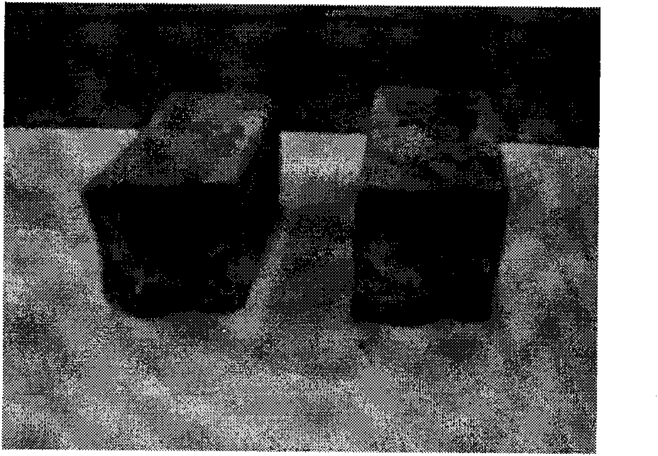 High-strength composite material for caulking, repair and water prevention of concrete/inorganic plate and preparation method thereof