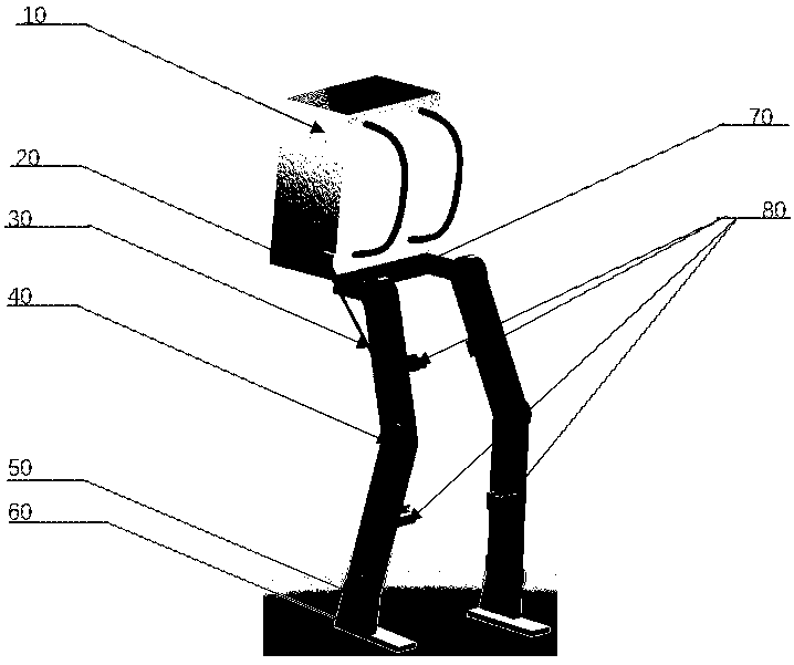 Direct force detecting device, control system and direct force control exoskeleton robot