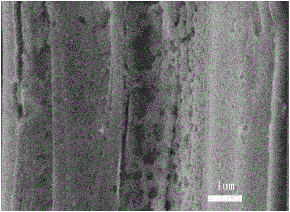 Preparation method for carbonized wood with super waterproof sterilization self-cleaning function