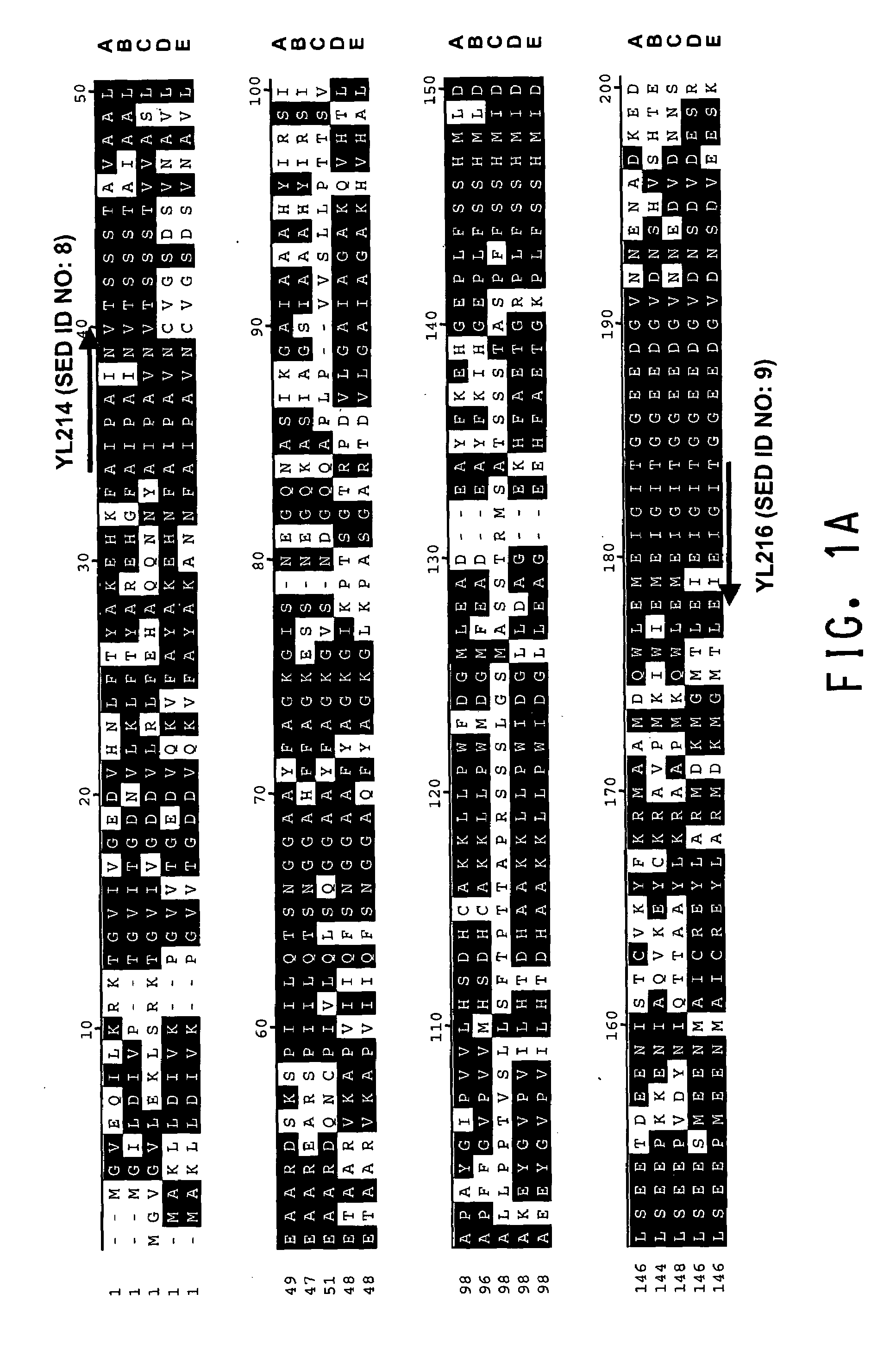 Fructose-bisphosphate aldolase regulatory sequences for gene expression in oleaginous yeast