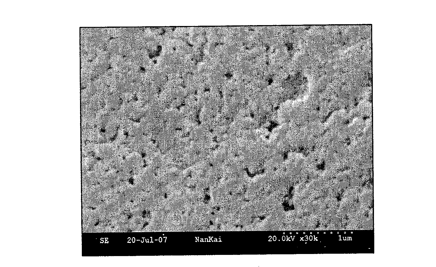 Method for producing western blot resin with dual recognition group polymer chain and application thereof