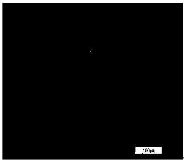 Method for recovering vanadium ferrochrome from vanadium-chromium tailings