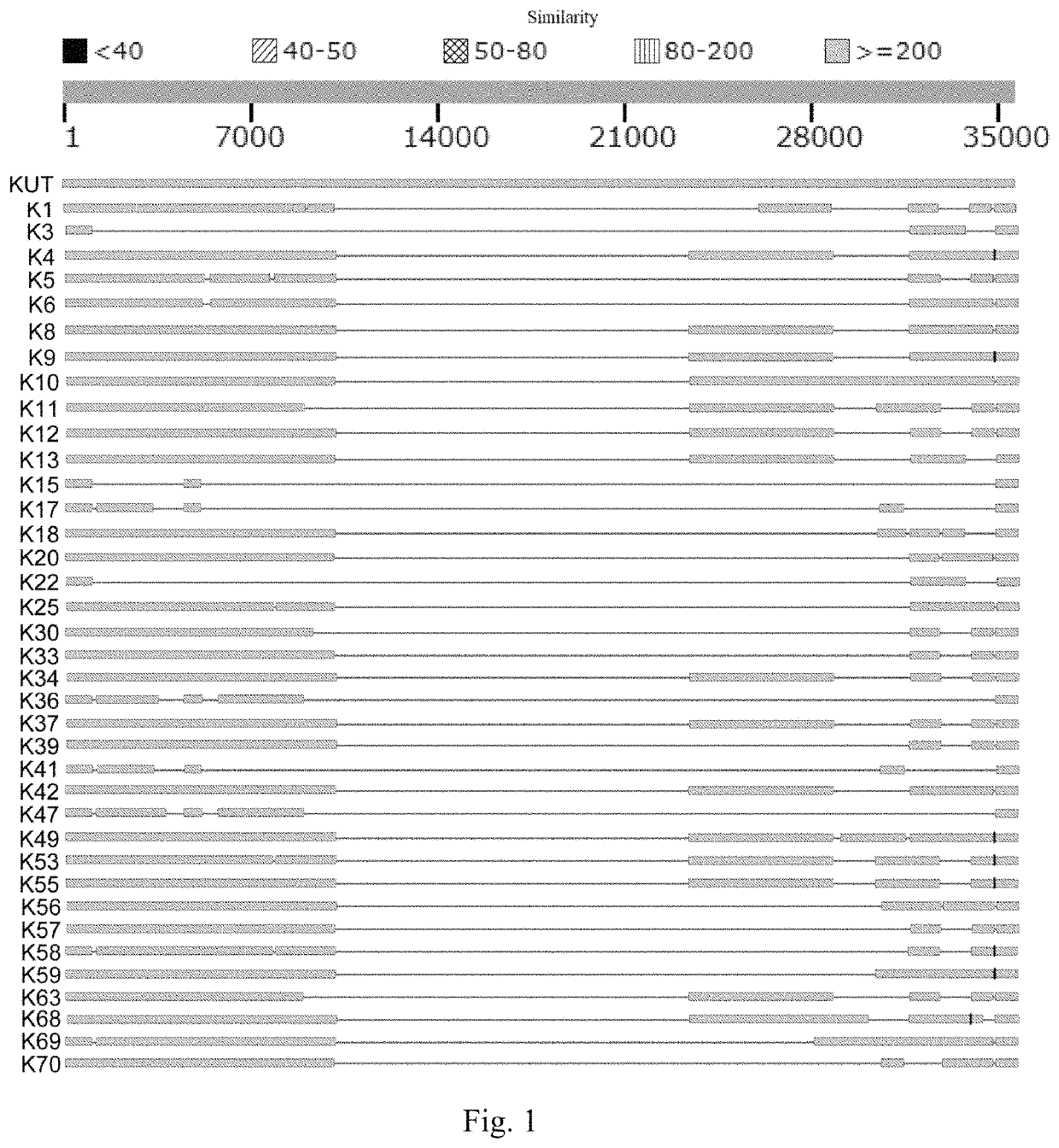 Method for preparing a K serum with a vibrio parahaemolyticus as an antigen