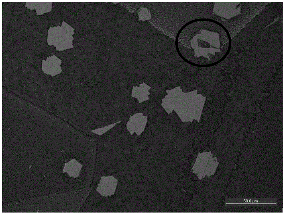 Graphene characterization method