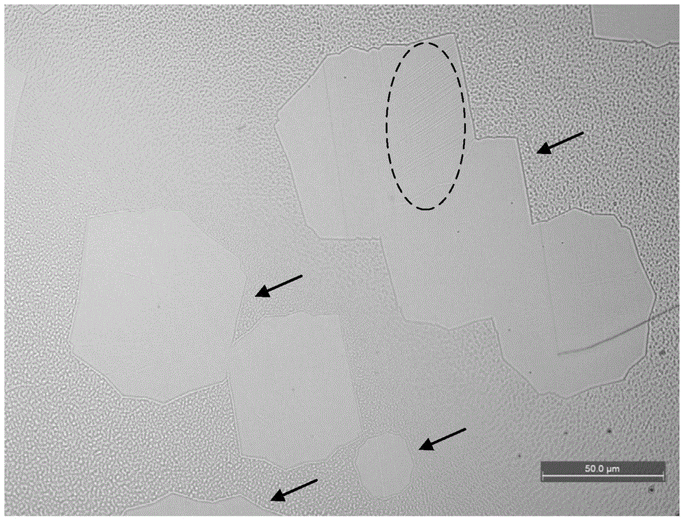 Graphene characterization method