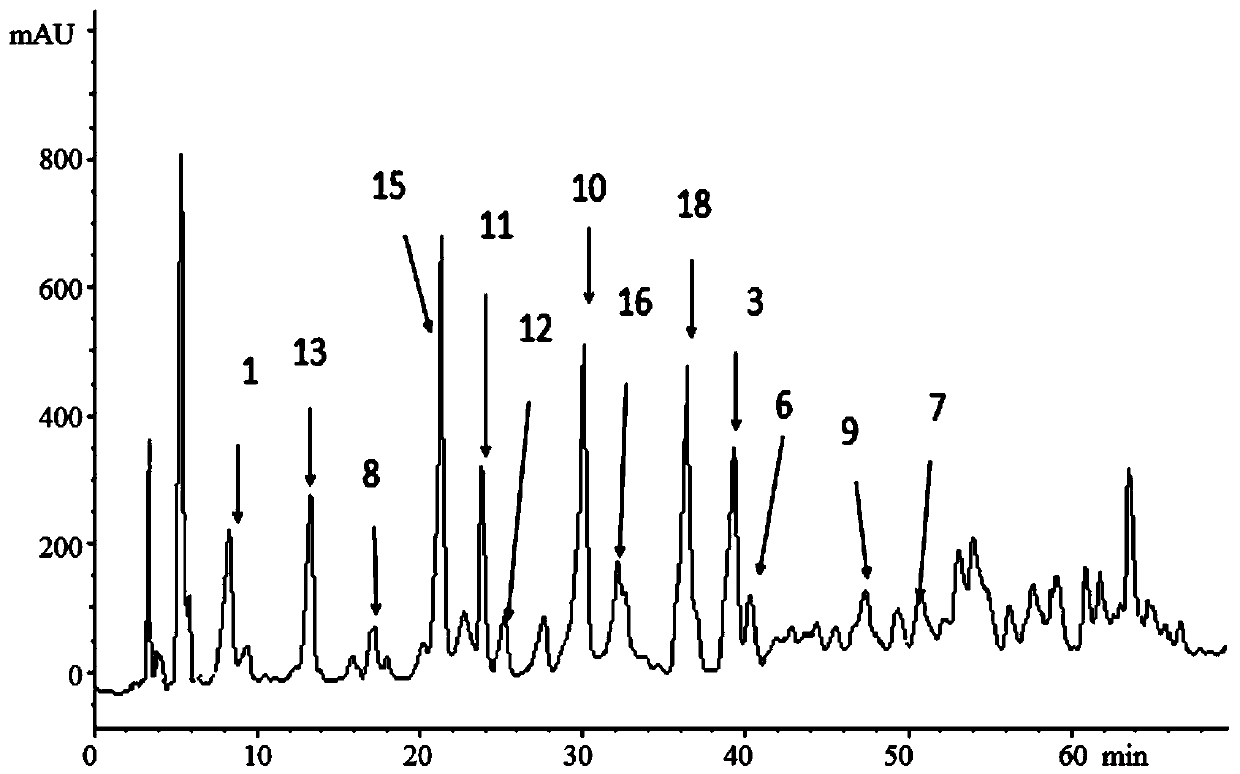 Jujube pit extract as well as extraction and separation method and application thereof