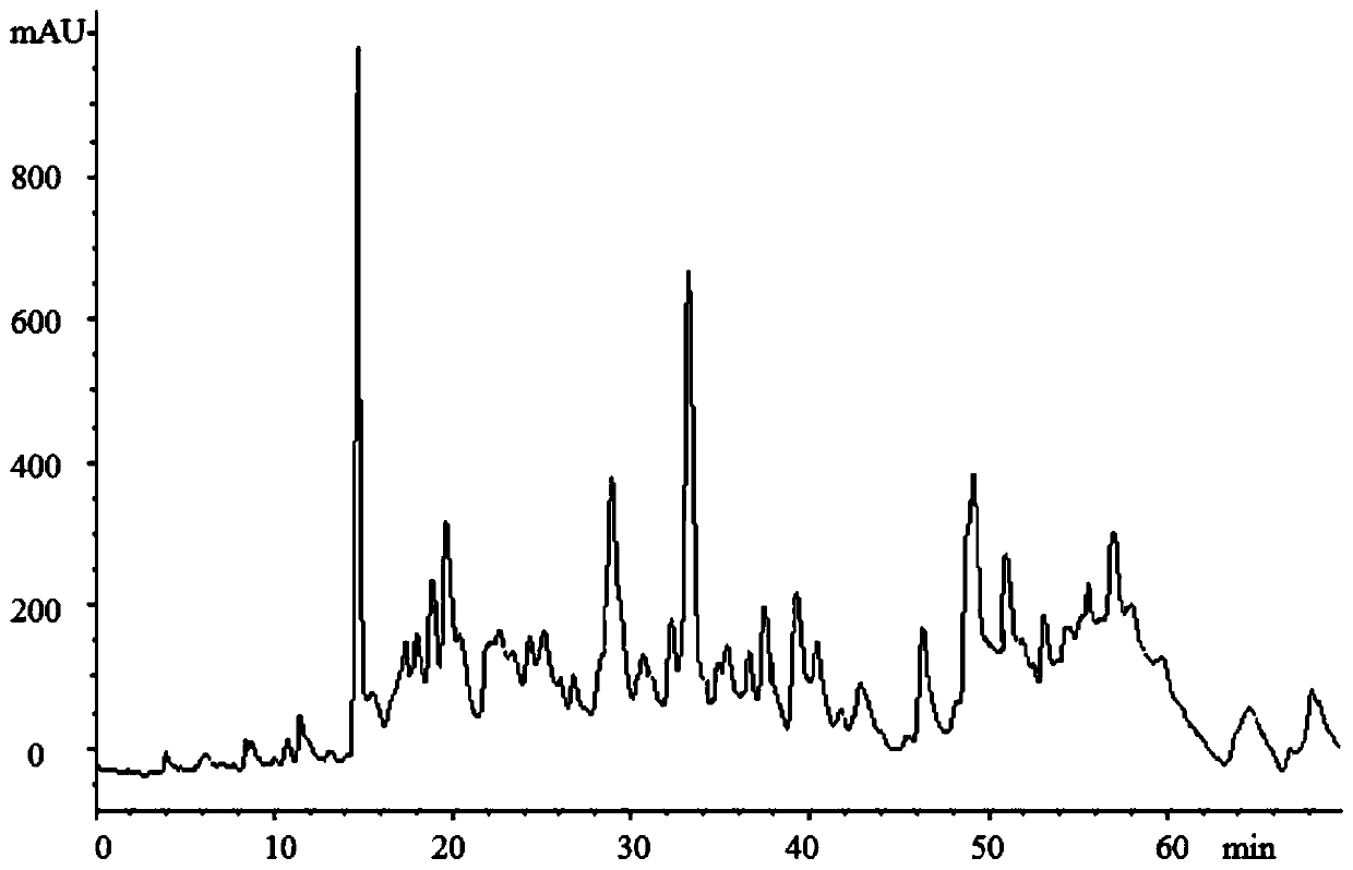 Jujube pit extract as well as extraction and separation method and application thereof