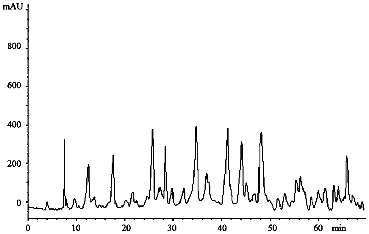 Jujube pit extract as well as extraction and separation method and application thereof