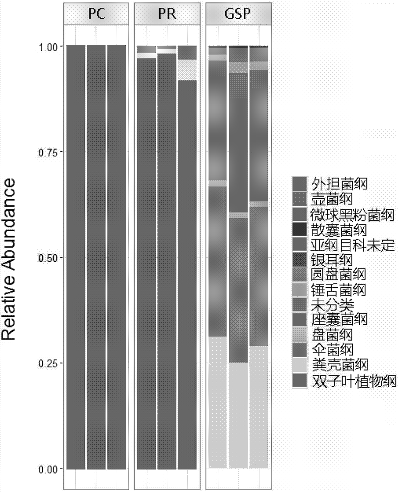 High-throughput-sequencing and host-background-interference-free method for amplifying ITS genes of endophytic fungi of vigna unguiculata