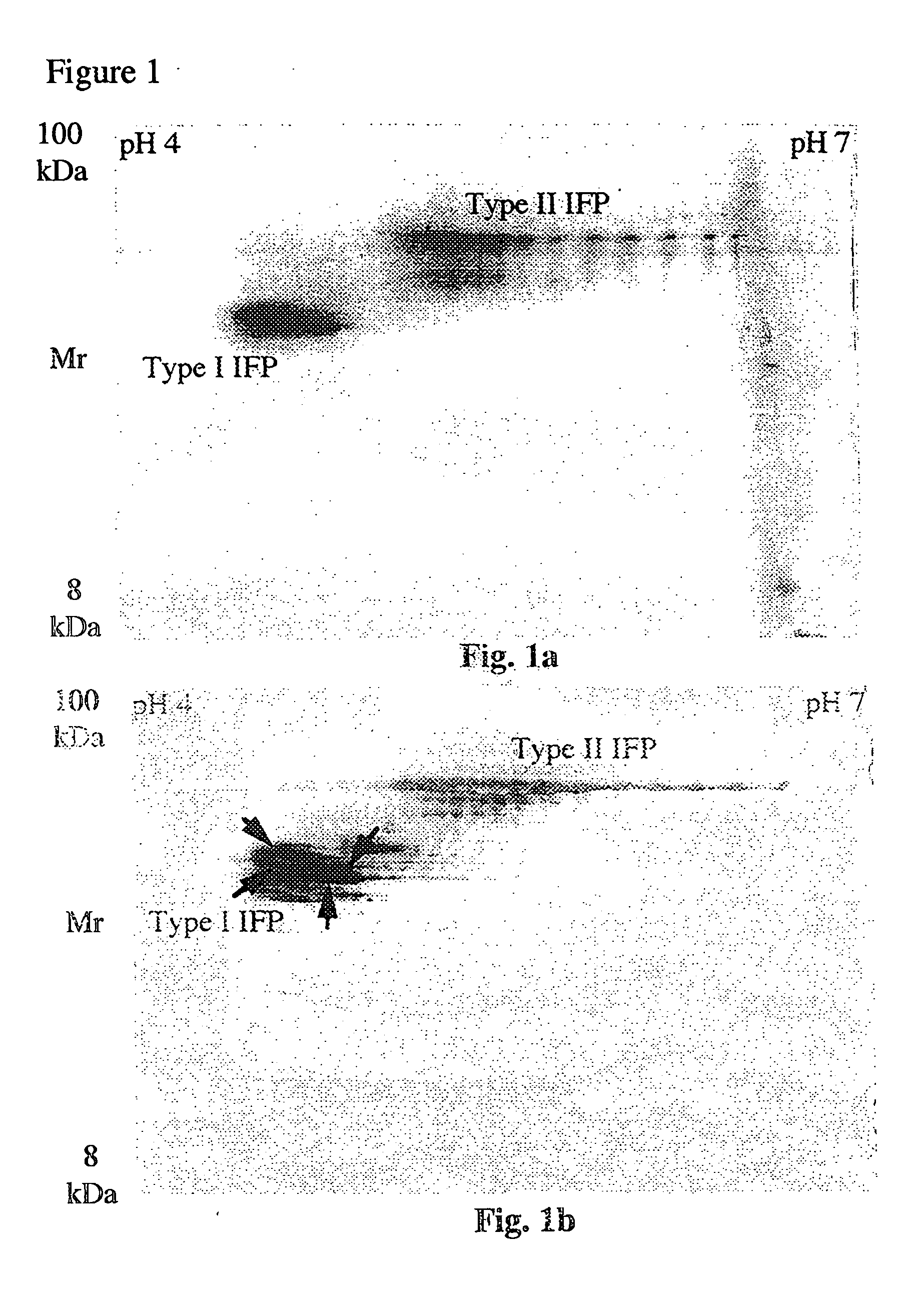 Electrophoresis separation methods