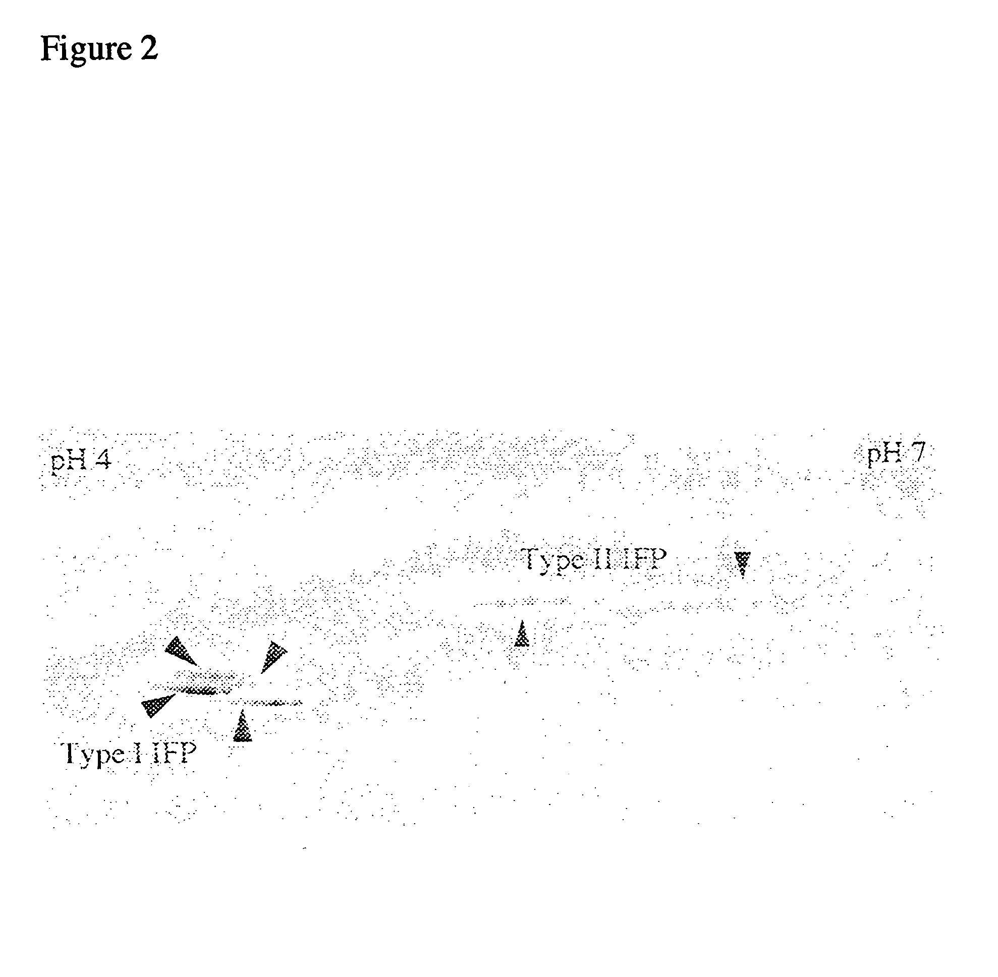 Electrophoresis separation methods