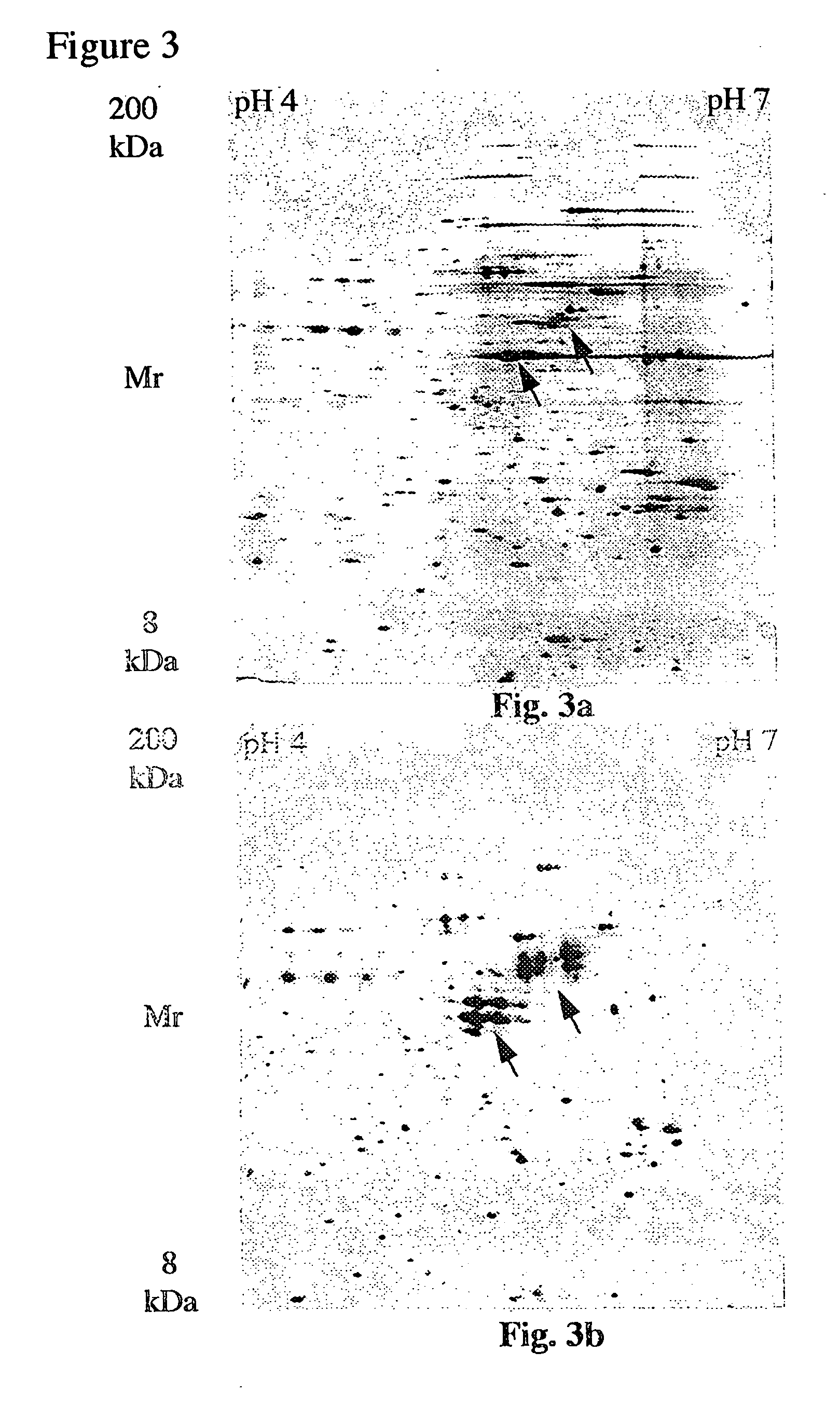 Electrophoresis separation methods