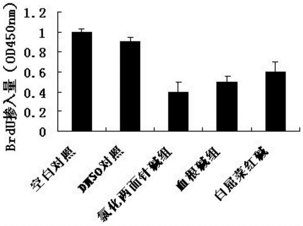 Nitidine chloride, derivative thereof, and applications of nitidine chloride and derivative of nitidine chloride in preparing medicines used for preventing and treating dermatosis