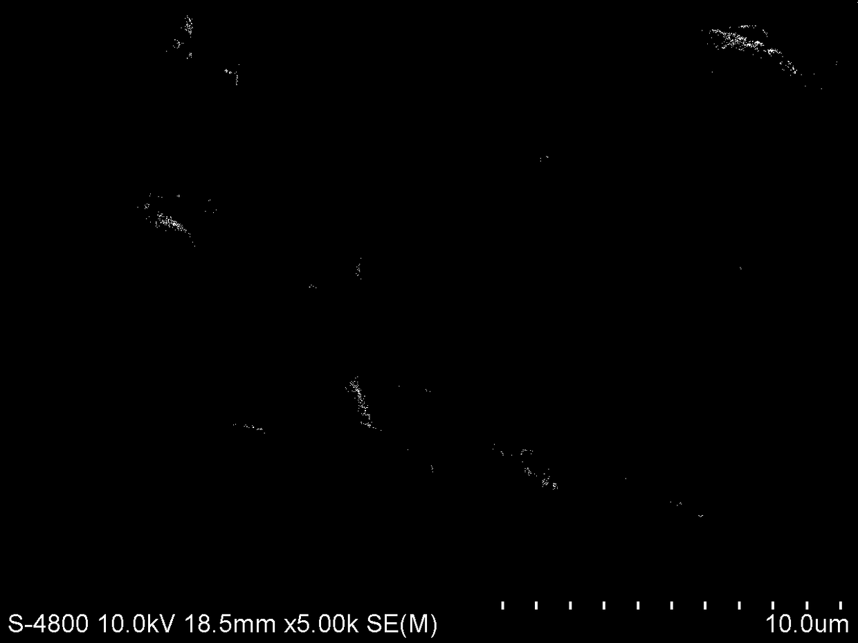 Composite phase change heat storage material using edible fungus charcoal as shaping matrix and preparation method