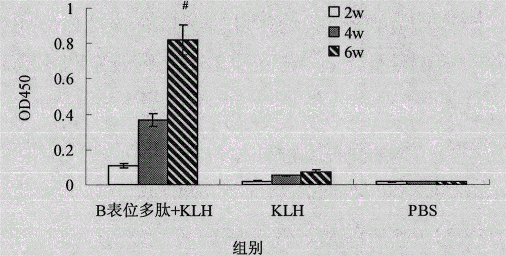 B cell epitope of Tarp protein of chlamydia trachomatis and application of B cell epitope