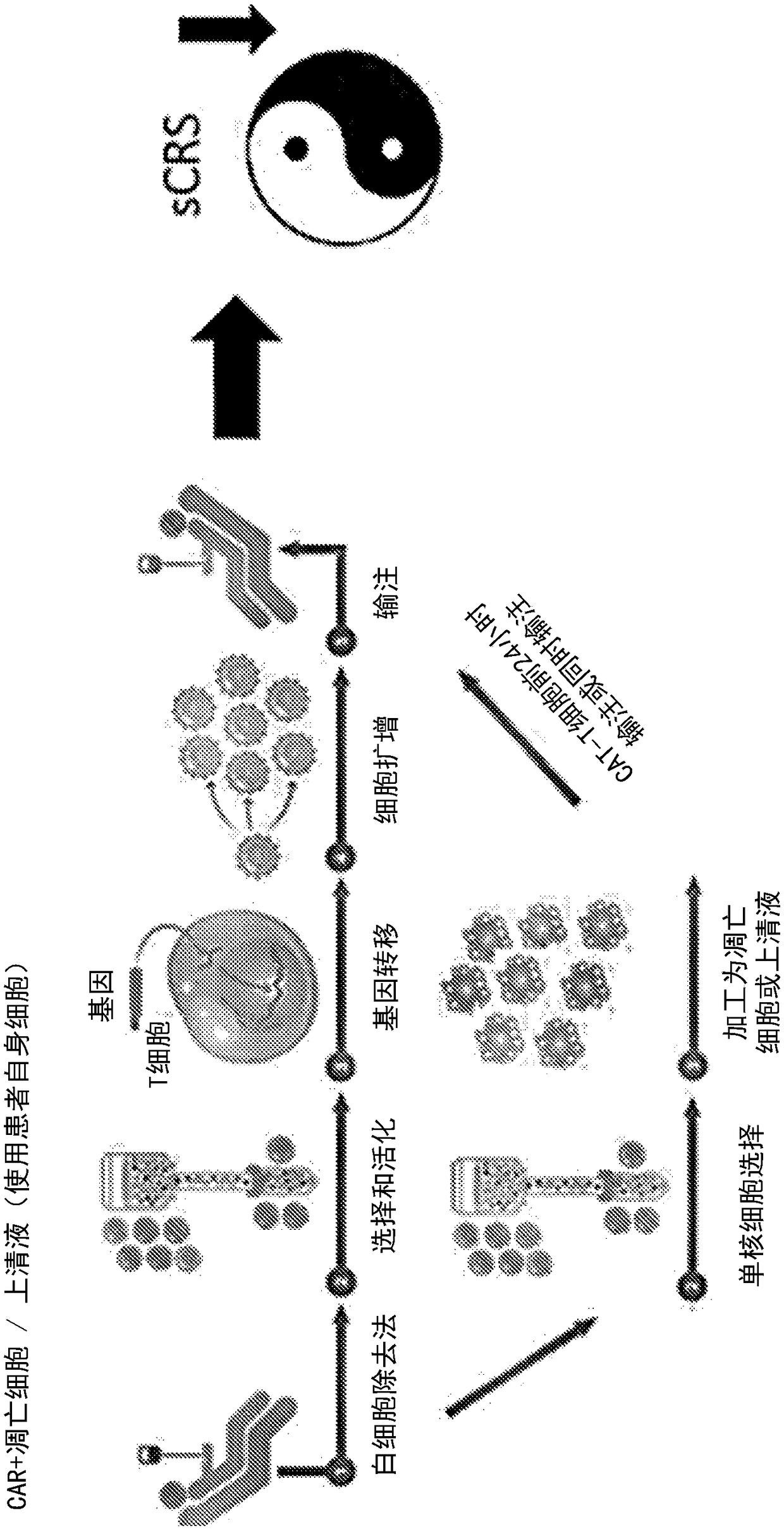 Combination immune therapy and cytokine control therapy for cancer treatment