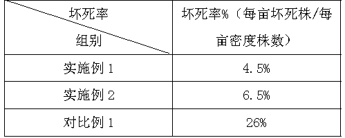 Method for cultivating chestnut-flavor pumpkins in plastic greenhouse