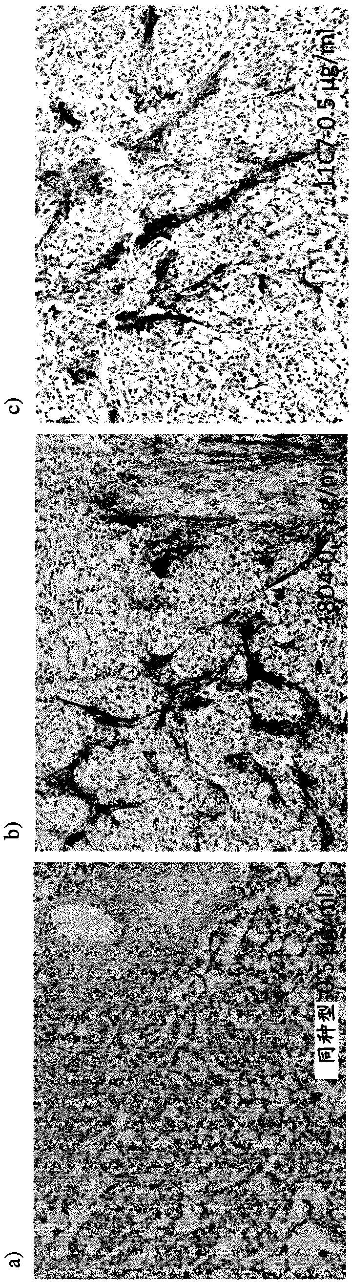 Antigen binding molecules comprising a TNF family ligand trimer and a tenascin binding moiety