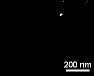 Method for preparing hydrophobic drug-carrying core-shell structure micro/nanoparticles through electrostatic spraying