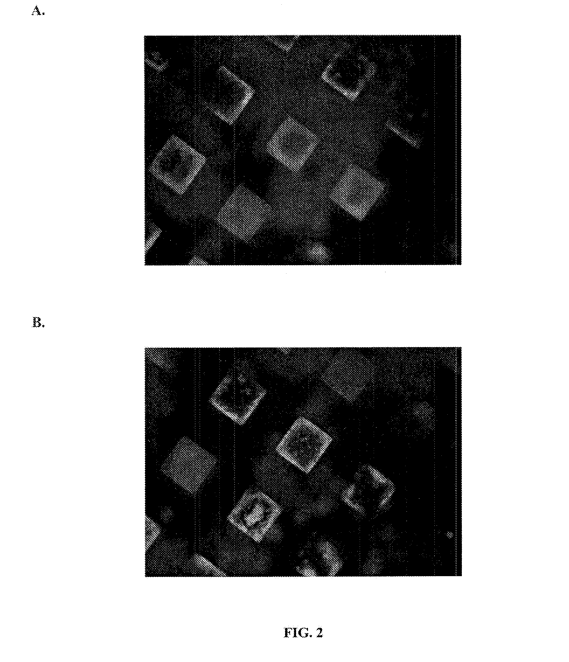 Cryopreservation of human embryonic stem cells in microwells