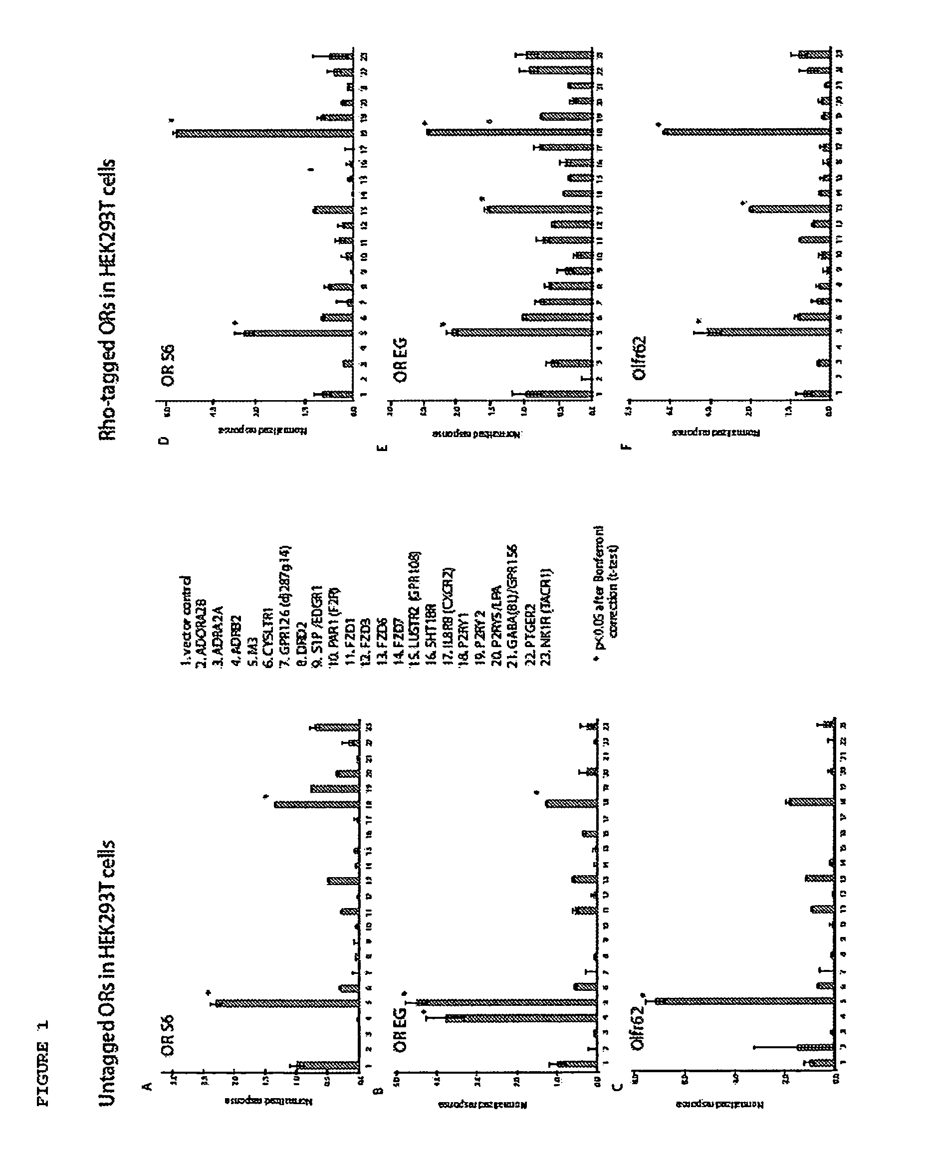 Compositions and methods for enhancing odorant receptor activity