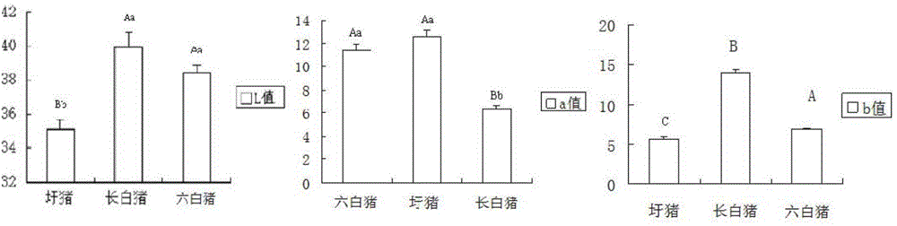 Screening method of Anhui local pig breed meat quality trait candidate genes