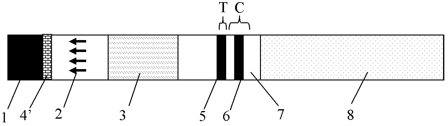 IgM (immunoglobulin M) antibody detection test strip