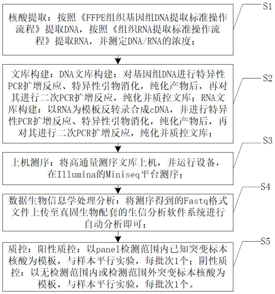 Method and system for NGS calibration of lung cancer targeted drug and chemotherapy drug genomes by DNA and RNA double library construction