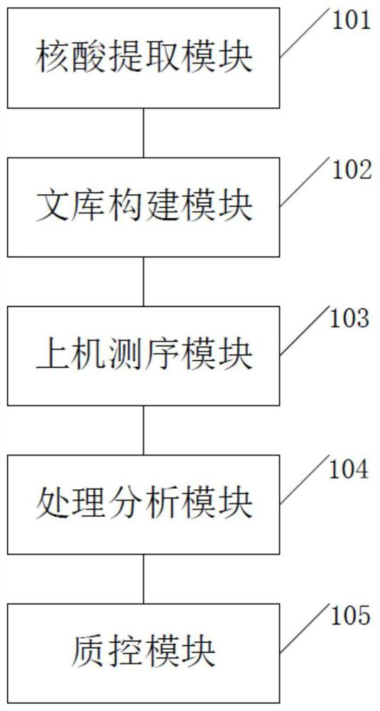 Method and system for NGS calibration of lung cancer targeted drug and chemotherapy drug genomes by DNA and RNA double library construction