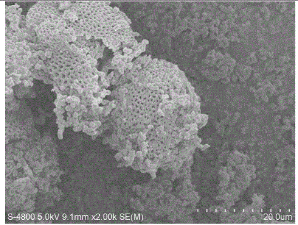 Method used for taking pollen and triblock copolymer as templates for synthesizing of mesoporous silica microspheres