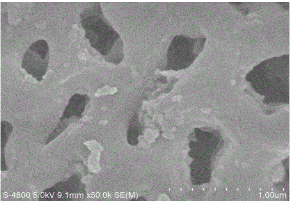 Method used for taking pollen and triblock copolymer as templates for synthesizing of mesoporous silica microspheres