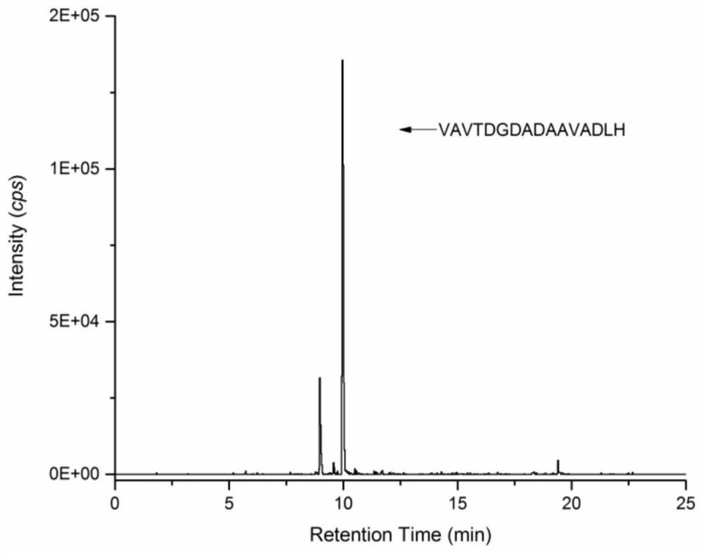 A method for identifying prawns using a specific peptide group