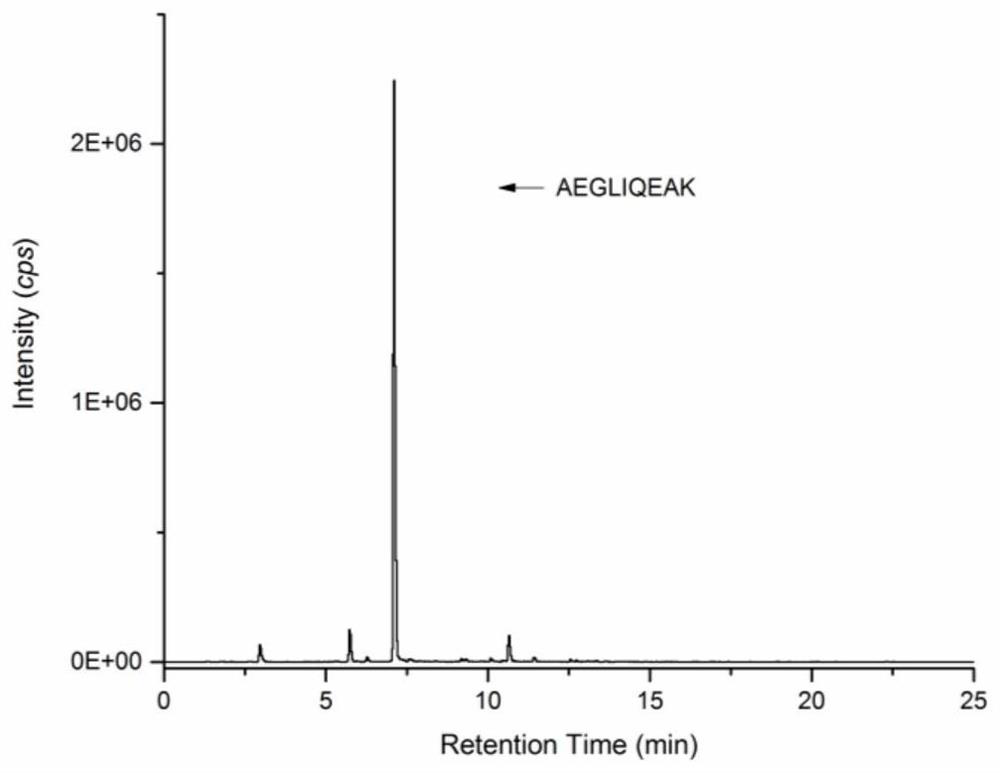 A method for identifying prawns using a specific peptide group