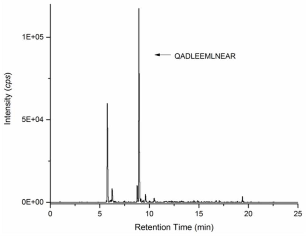 A method for identifying prawns using a specific peptide group