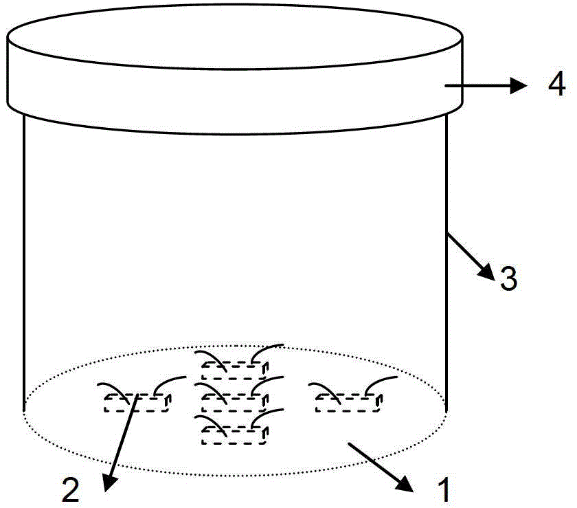 white light led lighting device