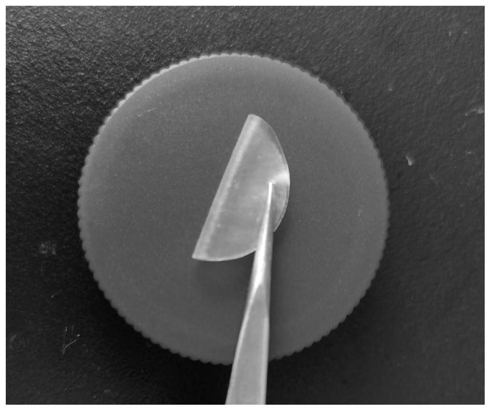 Solid-state polyelectrolyte for lithium battery and preparation method of solid-state polyelectrolyte