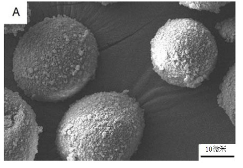 Nanometer composite epoxy resin self-repairing microcapsule and preparation method thereof