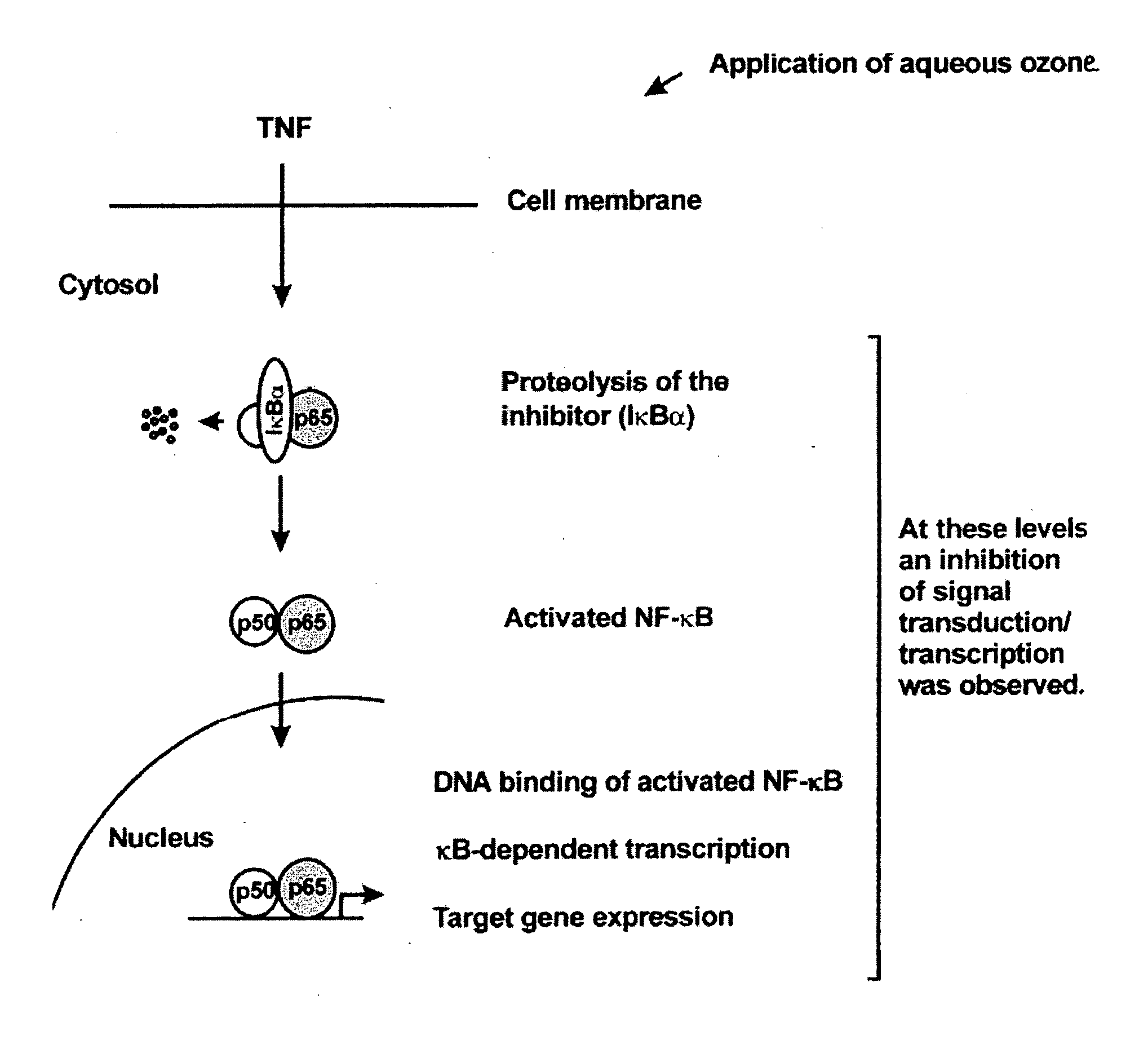 Pharmaceutical preparations for treating inflammatory diseases