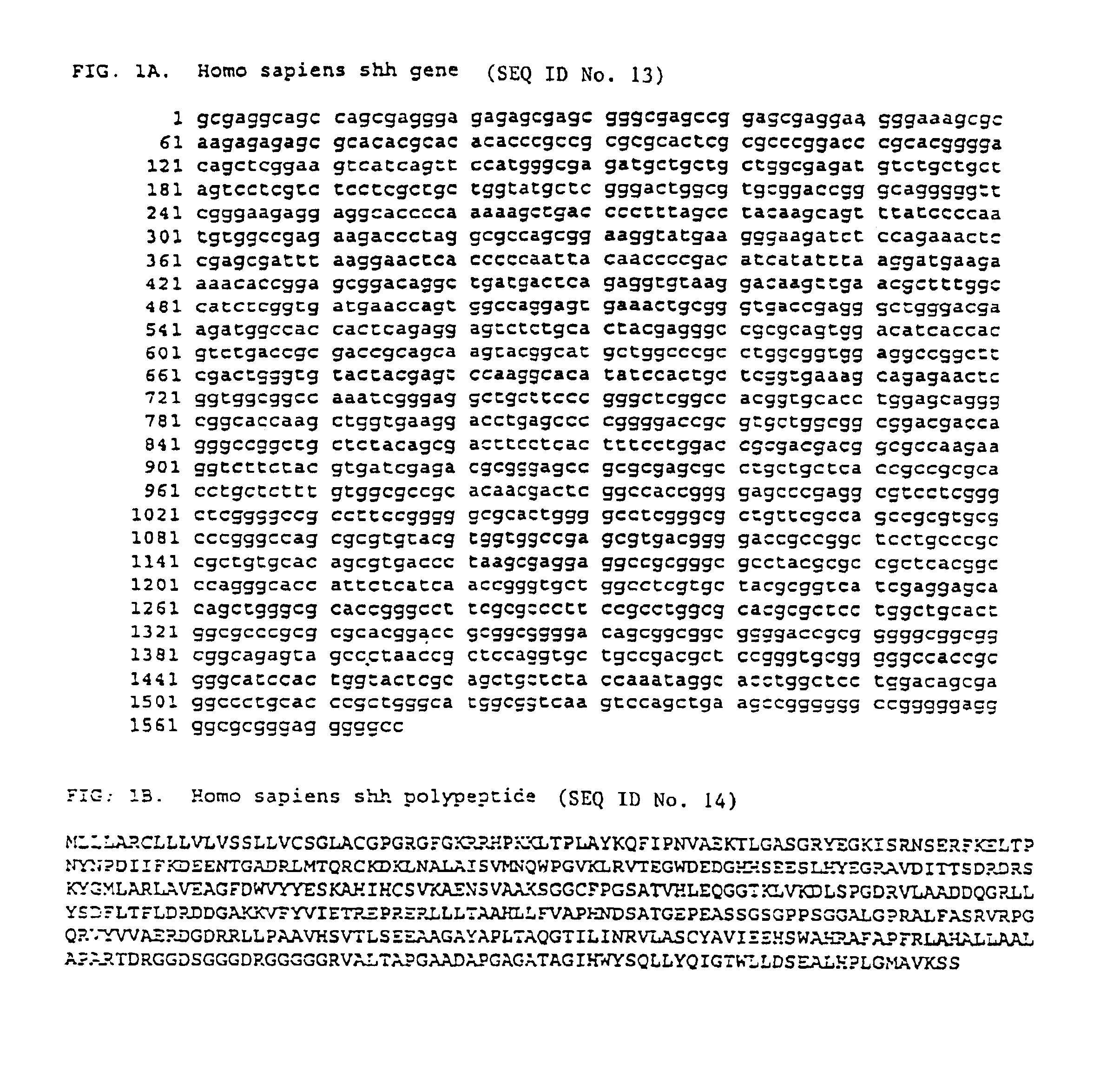 Methods to stimulate insulin production by pancreatic beta-cells