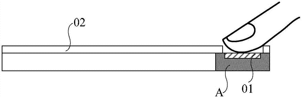 Display apparatus having fingerprint identification function