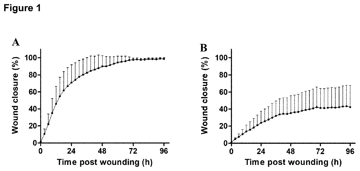 Promotion of Epithelial Repair