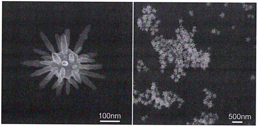 Structure and preparation method for magnetic sliver-flower nano-particles