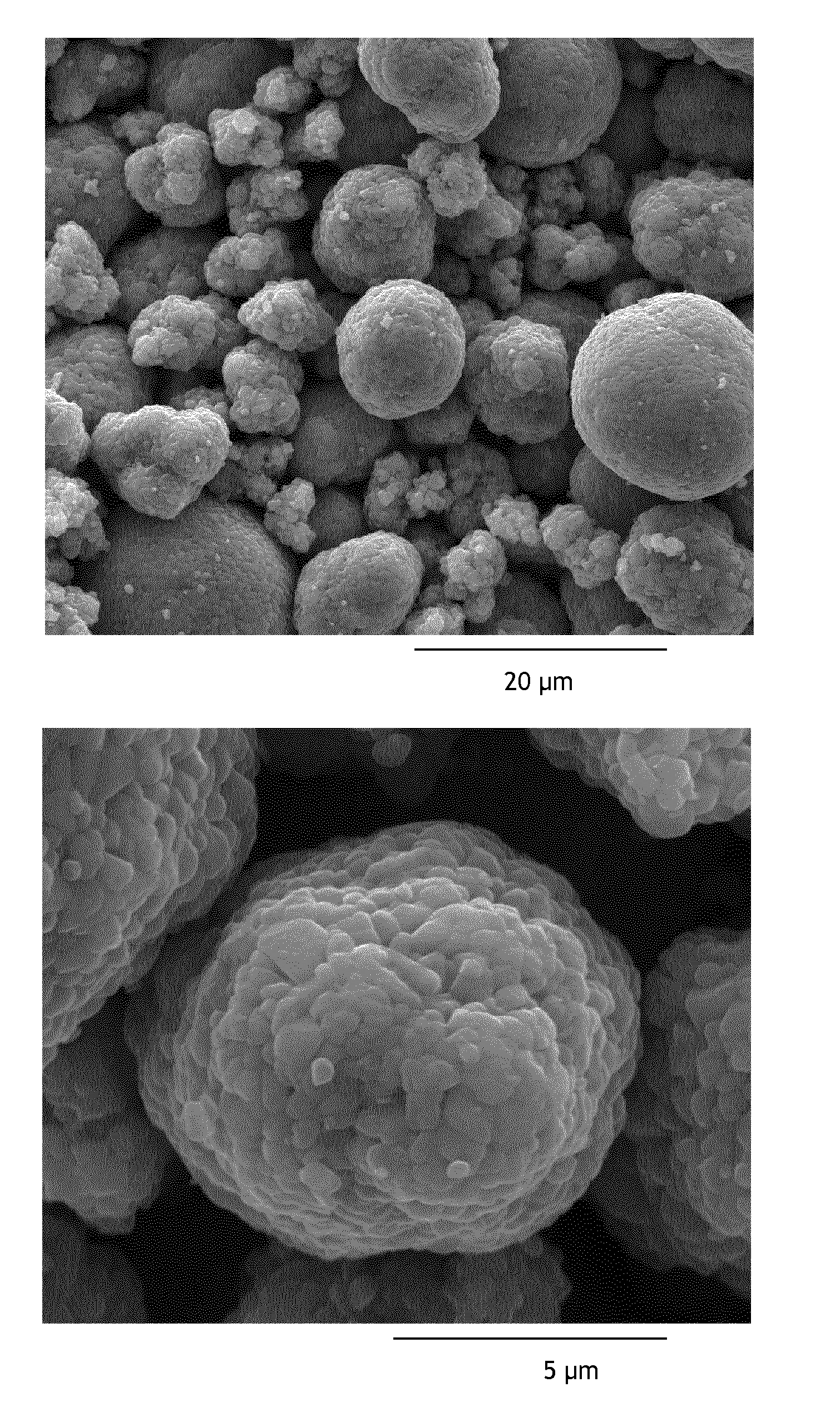 Positive Electrode Material Having a Size Dependent Composition