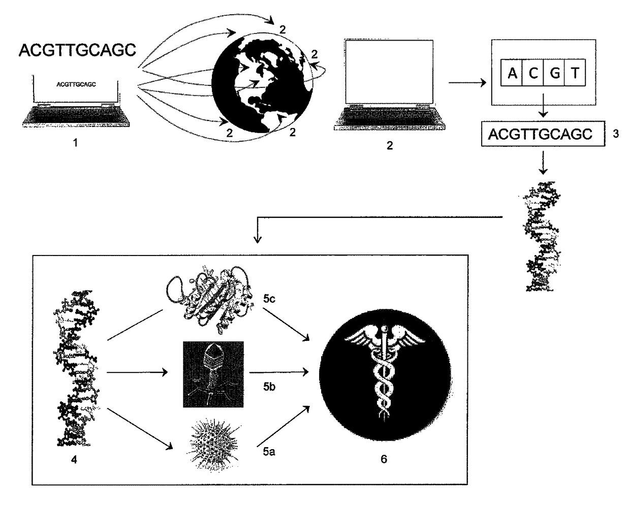 Digital to biological converter