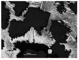 Preparation method and application of hyperelastic porous CuAlNi high temperature shape memory alloy