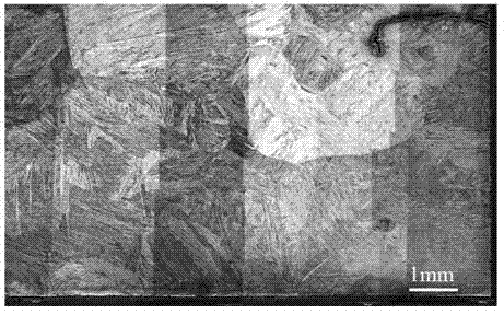 Preparation method and application of hyperelastic porous CuAlNi high temperature shape memory alloy