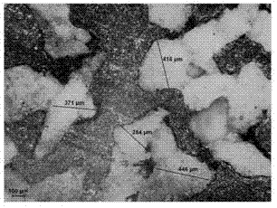 Preparation method and application of hyperelastic porous CuAlNi high temperature shape memory alloy