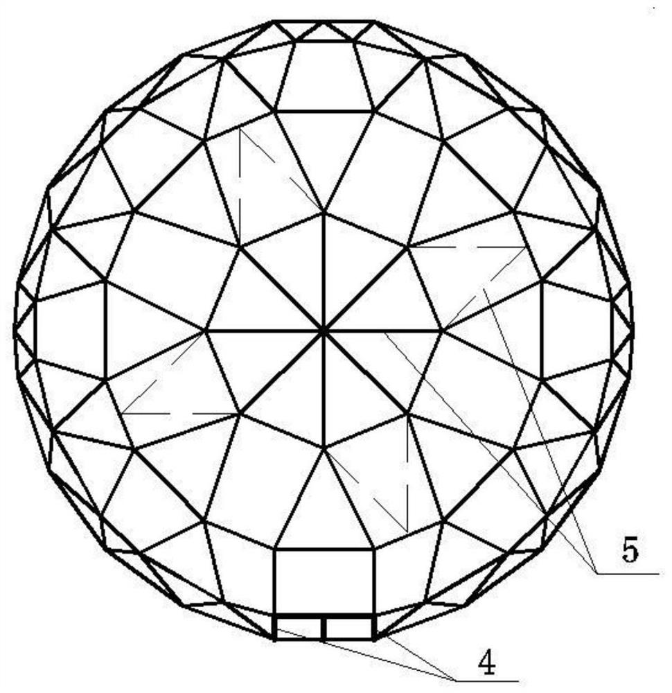 Dome greenhouse skeleton structure imitating gordon euryale leaf veins