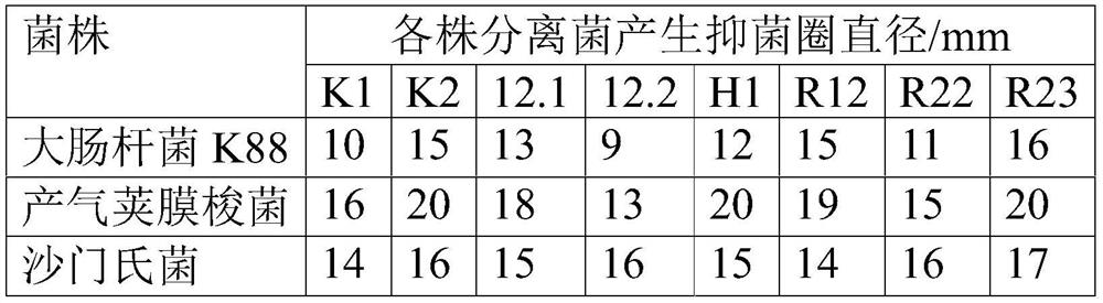 A Chinese herbal medicine microecological compound preparation for preventing and treating neonatal piglet enteritis and its preparation method and application